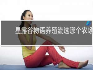 星露谷物语养殖流选哪个农场