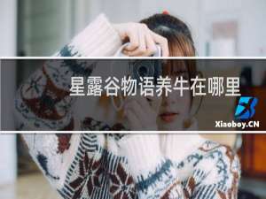 星露谷物语养牛在哪里