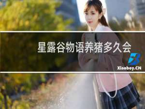 星露谷物语养猪多久会