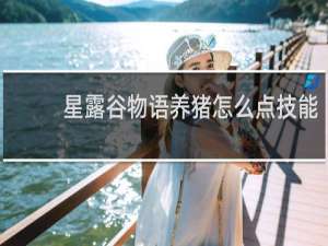 星露谷物语养猪怎么点技能