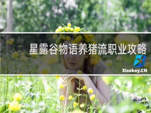 星露谷物语养猪流职业攻略