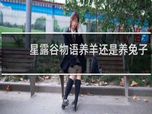 星露谷物语养羊还是养兔子