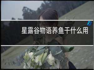 星露谷物语养鱼干什么用