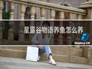 星露谷物语养鱼怎么养