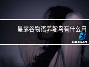 星露谷物语养鸵鸟有什么用