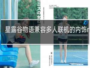 星露谷物语兼容多人联机的内饰mod