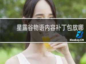 星露谷物语内容补丁包放哪