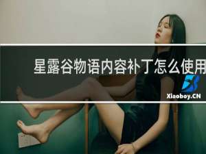 星露谷物语内容补丁怎么使用