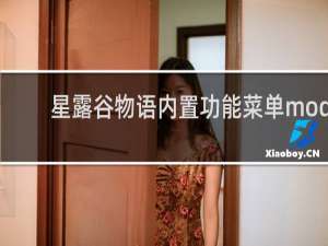 星露谷物语内置功能菜单mod
