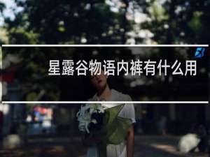 星露谷物语内裤有什么用