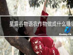 星露谷物语农作物做成什么赚钱