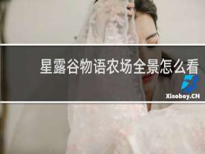 星露谷物语农场全景怎么看