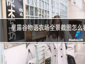 星露谷物语农场全景截图怎么看