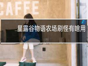 星露谷物语农场刷怪有啥用