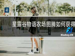 星露谷物语农场图腾如何获得