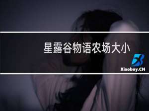 星露谷物语农场大小