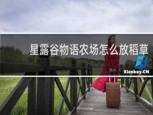 星露谷物语农场怎么放稻草
