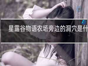 星露谷物语农场旁边的洞穴是什么