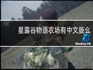 星露谷物语农场有中文版么