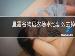 星露谷物语农场水池怎么去掉