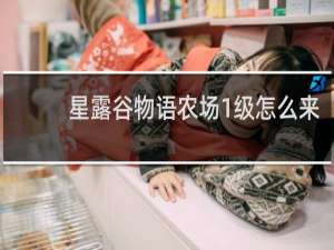 星露谷物语农场1级怎么来