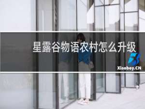 星露谷物语农村怎么升级