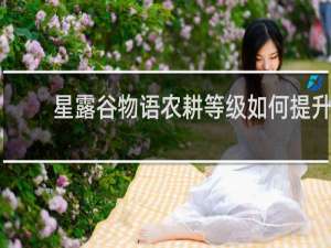 星露谷物语农耕等级如何提升