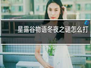 星露谷物语冬夜之谜怎么打