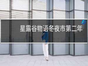 星露谷物语冬夜市第二年