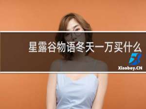 星露谷物语冬天一万买什么