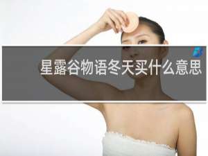 星露谷物语冬天买什么意思