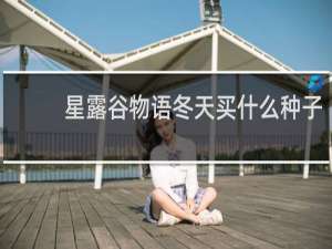 星露谷物语冬天买什么种子