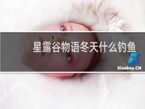 星露谷物语冬天什么钓鱼