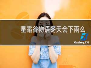 星露谷物语冬天会下雨么