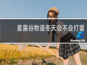 星露谷物语冬天会不会打雷