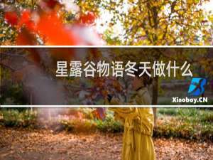 星露谷物语冬天做什么