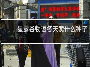星露谷物语冬天卖什么种子