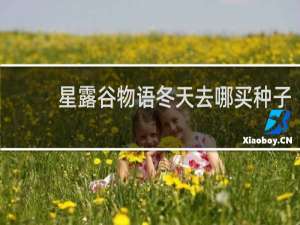 星露谷物语冬天去哪买种子
