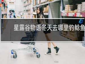 星露谷物语冬天去哪里钓鲶鱼