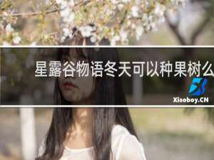 星露谷物语冬天可以种果树么