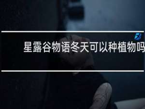 星露谷物语冬天可以种植物吗