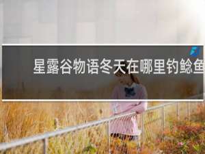 星露谷物语冬天在哪里钓鲶鱼