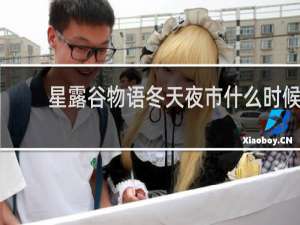 星露谷物语冬天夜市什么时候