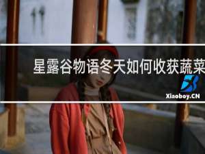 星露谷物语冬天如何收获蔬菜