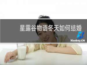 星露谷物语冬天如何结婚