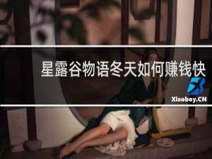 星露谷物语冬天如何赚钱快