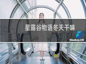 星露谷物语冬天干嘛