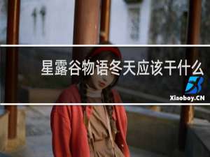 星露谷物语冬天应该干什么