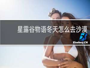 星露谷物语冬天怎么去沙漠