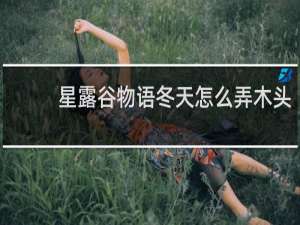 星露谷物语冬天怎么弄木头